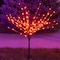 Celebratinos Celebrations Halloween Orange 32 in. LED Prelit Burst Halloween Decor LBST100BORTWA - alternate 2